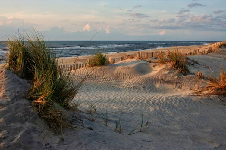 A view of the Outer Banks beaches A view of the Outer Banks beaches