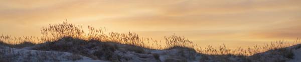 A beach at sunset